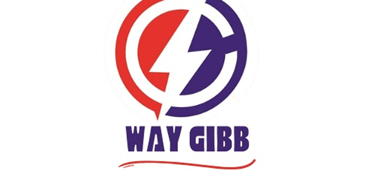 Way Gibb brand